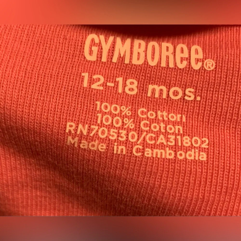 NWT Gymboree Girls Ruffled Shirt and Pants
